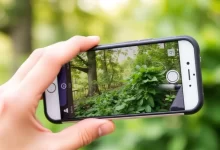 Photo of Лучшие смартфоны для фотографии